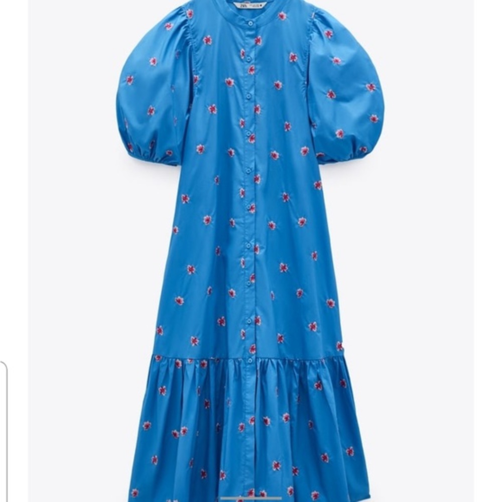 Zara Embroidered Puff Sleeve Dress